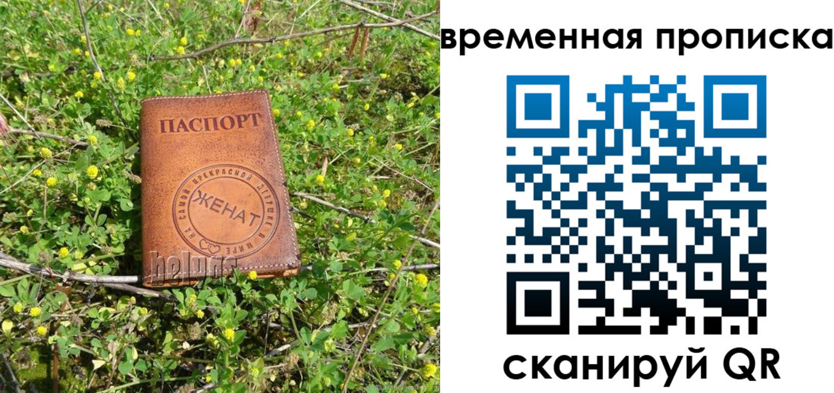 форма 3 в Волосово